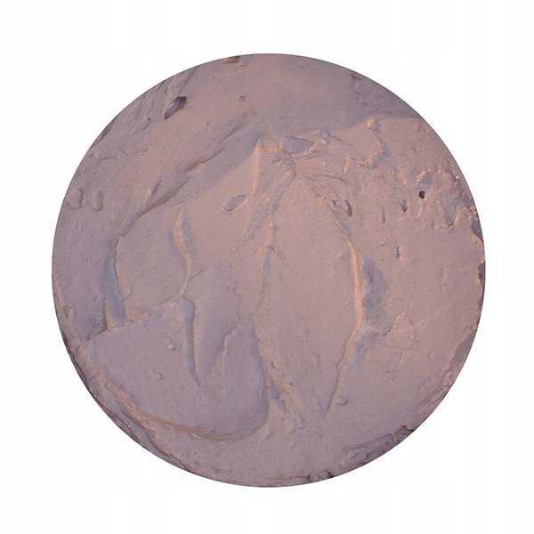Elastyczna szpachla akrylowa Koopmans -300g Orzech Elastyczna szpachla akrylowa Koopmans -300g Orzech