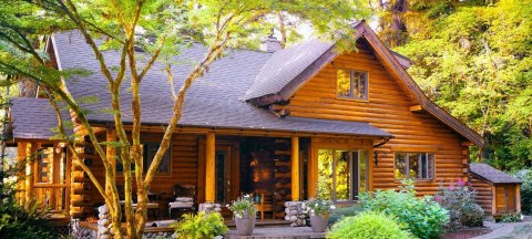 Lakierobejca Cover Line XT Koopmans 1L - 104 DĄB