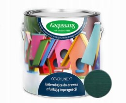 Impregnat do drewna bezpieczny dla dzieci Aquachron ZIEMNO ZIELONY