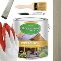 Impregnat do drewna IMPRACHRON Koopmans 228 5L SZARY + GRATISY